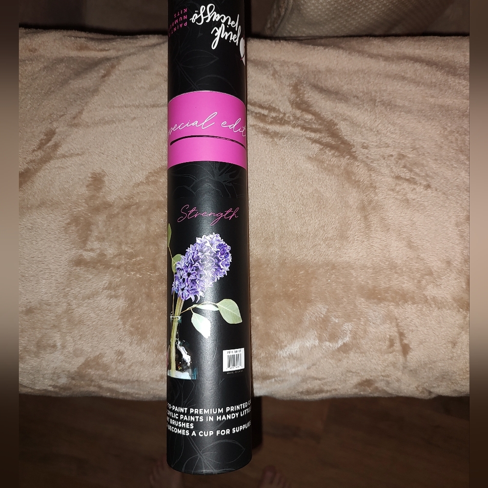 Pink Picasso Paint by Numbers Kit Special Edition